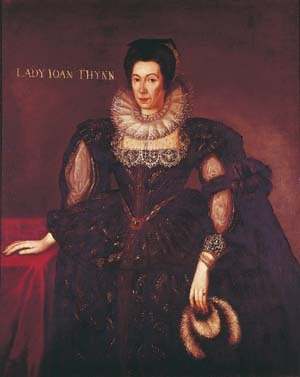 <span class="mw-page-title-main">Joan Thynne</span> English gentlewoman