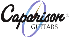 <span class="mw-page-title-main">Caparison Guitars</span> Hand made guitar manufacturer