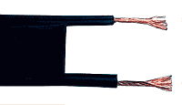 <span class="mw-page-title-main">Twin-lead</span> Two-conductor flat cable used to carry radio frequency signals