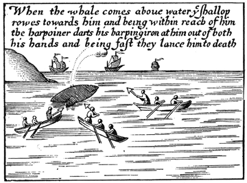 An engraving showing a two flue harpoon used in whaling Early two flue.png