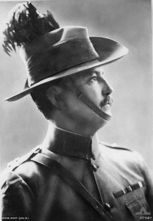 <span class="mw-page-title-main">Slouch hat</span> Wide-brimmed soft felt or cloth hat most commonly worn as part of a military uniform