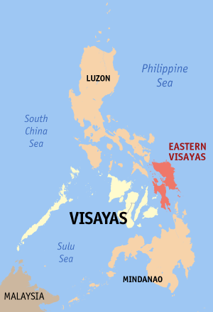 <span class="mw-page-title-main">2010 Philippine House of Representatives elections in Eastern Visayas</span>