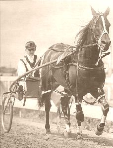 <span class="mw-page-title-main">Johnny Globe</span> New Zealand Standardbred racehorse