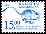 <i>Salpingotus</i> Genus of rodents