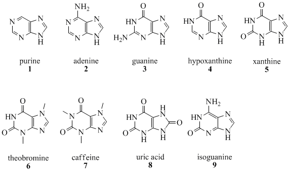 1 = purin, 2 = adenin, 3 = gvanin, 4 = hipoksantin, 5 = ksantin, 6 = teogromin, 7 = kofein, 8 = sečna kislina, 9 = izogvanin