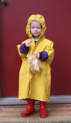 <span class="mw-page-title-main">Raincoat</span> Waterproof coat