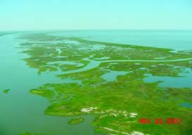 <span class="mw-page-title-main">Lake Borgne</span> Lagoon of the Gulf of Mexico in southeastern Louisiana, United States