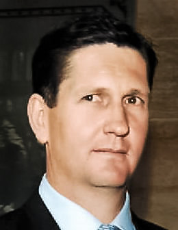 <span class="mw-page-title-main">Lawrence Springborg</span> Australian politician