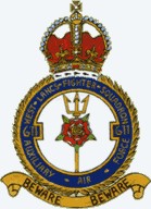 <span class="mw-page-title-main">No. 611 Squadron RAuxAF</span> Military unit