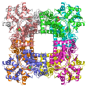 <span class="mw-page-title-main">Glycerol dehydrogenase</span>