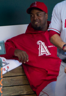 <span class="mw-page-title-main">Jerome Williams (baseball)</span> American baseball player (born 1981)