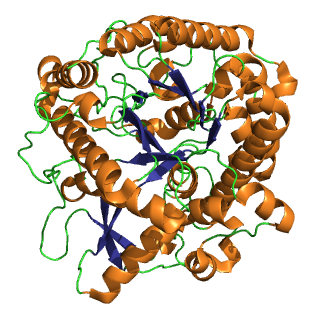 <span class="mw-page-title-main">Myrosinase</span>