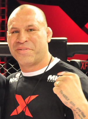 <span class="mw-page-title-main">Wanderlei Silva</span> Brazilian mixed martial artist