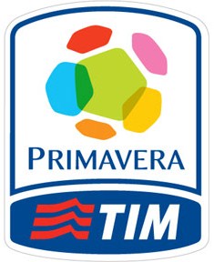 <span class="mw-page-title-main">Campionato Nazionale Primavera</span> Italian football youth competition