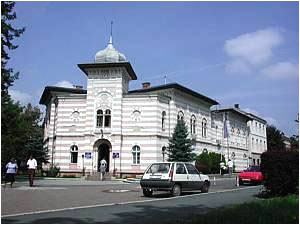 <span class="mw-page-title-main">Gradiška, Bosnia and Herzegovina</span> City and municipality in Republika Srpska