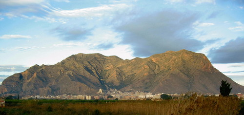 Cox au pied de la Sierra de Callosa (es).