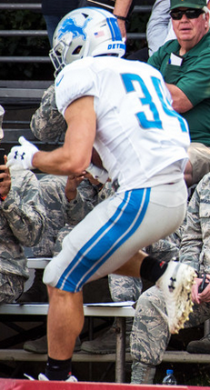 <span class="mw-page-title-main">Zach Zenner</span> American football player (born 1991)