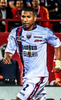 <span class="mw-page-title-main">Jorge Guagua</span> Ecuadorian footballer (born 1981)