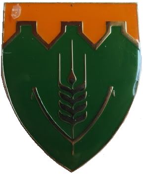 <span class="mw-page-title-main">Fouriesburg Commando</span> South African Army light infantry regiment