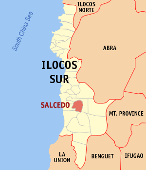 <span class="mw-page-title-main">Salcedo, Ilocos Sur</span> Municipality in Ilocos Sur, Philippines