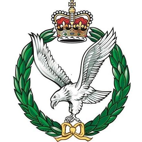 Army Air Corps (United Kingdom) Aviation arm of the British Army