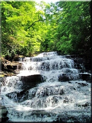 <span class="mw-page-title-main">Minnehaha Falls (Georgia)</span> Waterfall in Rabun County, Georgia