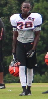 <span class="mw-page-title-main">Onterio McCalebb</span> American gridiron football player (born 1989)