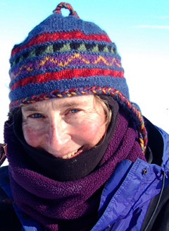 <span class="mw-page-title-main">Christine Siddoway</span> American Antarctic researcher