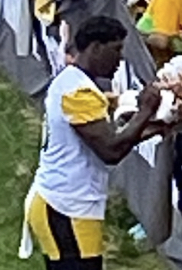 <span class="mw-page-title-main">Darnell Washington</span> American football player (born 2001)