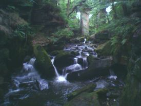 <span class="mw-page-title-main">River Spodden</span> River in North West England