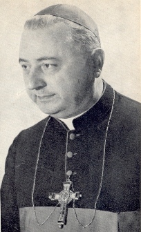 <span class="mw-page-title-main">Annibale Bugnini</span> Italian Vincentian and archbishop