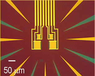 <span class="mw-page-title-main">Transition-edge sensor</span>