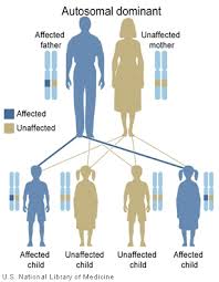 <span class="mw-page-title-main">BENTA disease</span> Medical condition