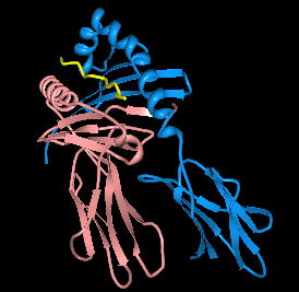 <span class="mw-page-title-main">HLA-DQ2</span> Human leukocyte antigen serotype