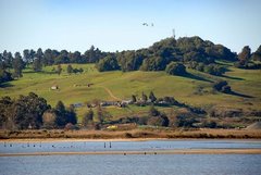 <span class="mw-page-title-main">Shollenberger Park</span>