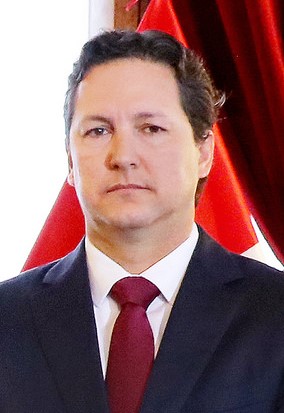 <span class="mw-page-title-main">Daniel Salaverry</span> Peruvian architect, businessman and politician