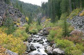 <span class="mw-page-title-main">Nez Perce National Forest</span> National forest in Oregon, Idaho, and Montana, U.S.