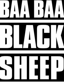 <i>Baa Baa Black Sheep</i> (TV series) American television series (1976–1978)