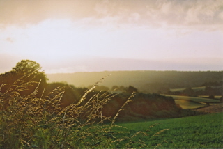 <span class="mw-page-title-main">Abinger</span> Civil parish in Mole Valley, Surrey, England