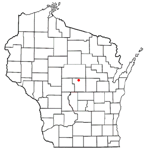 Dewey, Portage County, Wisconsin Town in Wisconsin, United States