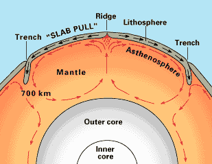 Oceanska kora nastaje na srednjeoceanskim hrptovima, doke je litosfera subducirana natrag u astenosferu u oceanskim jarcima