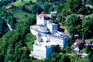 <span class="mw-page-title-main">Glion Institute of Higher Education</span> Private hospitality management school