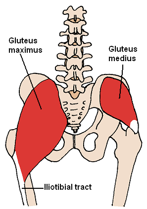 <span class="mw-page-title-main">Buttock augmentation</span> Cosmetic and corrective surgery