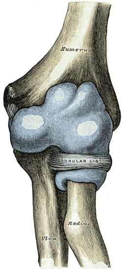 <span class="mw-page-title-main">Pulled elbow</span> Medical condition