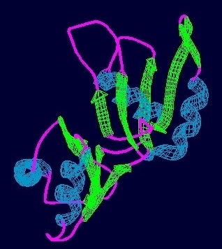 <span class="mw-page-title-main">Prp24</span>