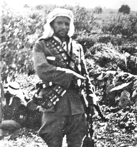 <span class="mw-page-title-main">Yusuf Abu Durra</span> Palestinian Arab soldier (1900 – 1940)