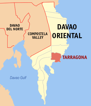 <span class="mw-page-title-main">Tarragona, Davao Oriental</span> Municipality in Davao Oriental, Philippines