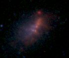 <span class="mw-page-title-main">NGC 2915</span> Galaxy in the constellation Chamaeleon