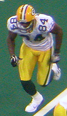 <span class="mw-page-title-main">Javon Walker</span> American football player (born 1978)