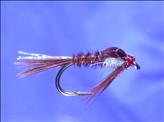 <span class="mw-page-title-main">Pheasant Tail Nymph</span>